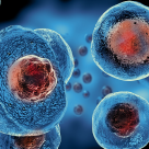 Celulele stem, aplicații uimitoare pentru pacienții bolnavi de cancer