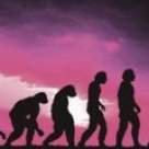 Al treilea cimpanzeu