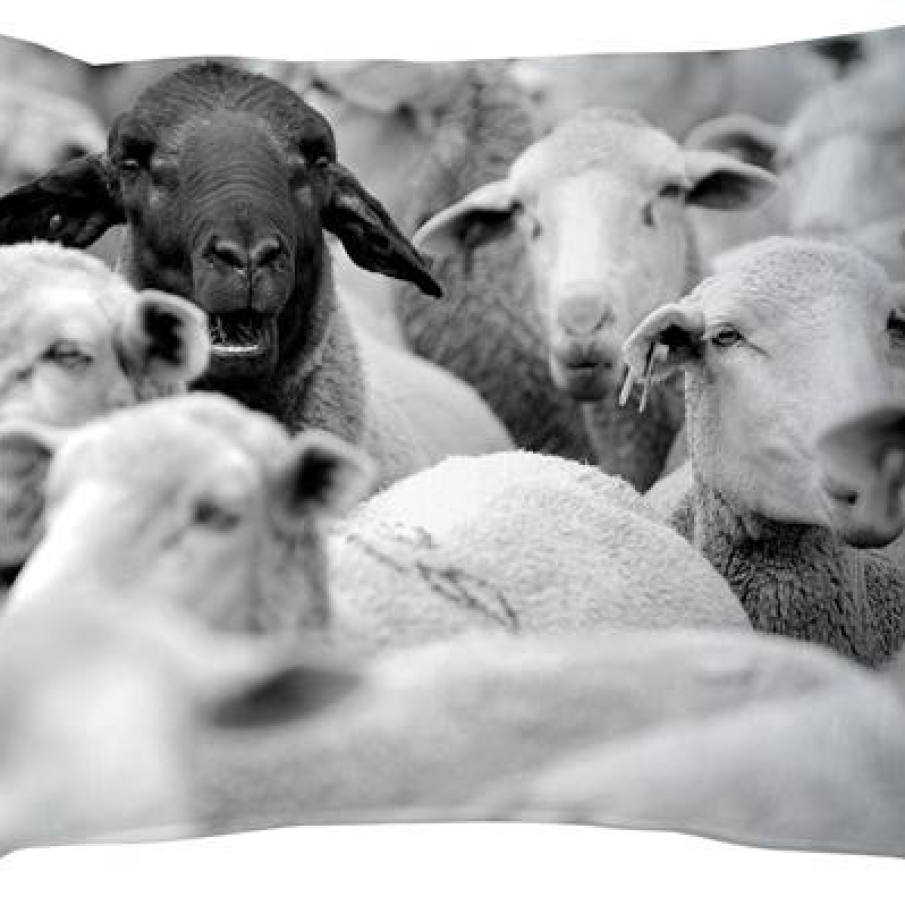 Perna cu imprimeu cu animale