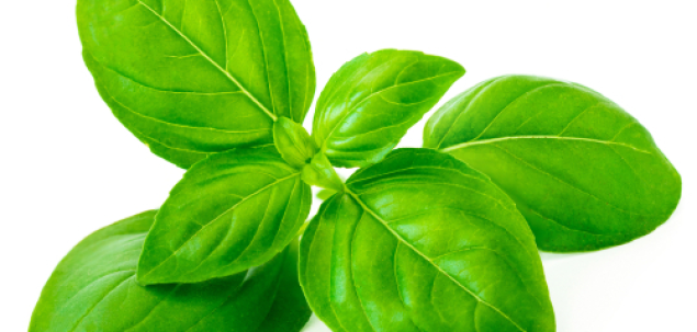 Cum se numeste acest condiment?