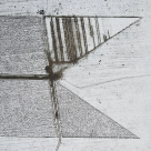 Kaufland România a plantat o pădure egală cu numărul de angajați la Scorțeni, județul Prahova