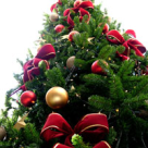 Sfaturi pentru decorarea bradului de Craciun