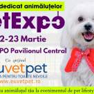 PetExpo 2025: Produse smart, ședințe foto gratuite și concursuri cu premii pentru animalele de companie