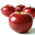 Piept de pui cu mere si sos de frisca