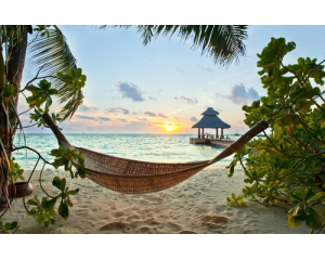 Maldive


