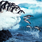Premieră pentru Universitatea de Vest din Timișoara: un cercetător timișorean pleacă în expediție științifică în Antarctica