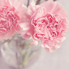 Urari de Florii: cele mai frumoase mesaje pentru sarbatori