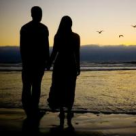 Cum stransoarea palmelor alina...