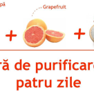 Cura de purificare in patru zile 