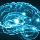 Presedintele Academiei Mondiale de Neurochirugie: Tumorile Cerebrale - cum le depistam si cum le tratam in 2017!