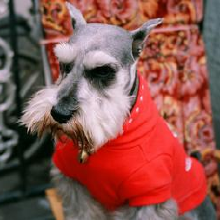 Soldier, serios look