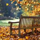 Paulo Coelho: 10 lucruri pe care le-am invatat din viata...