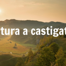 Natura a castigat: 27.000 de arii naturale si 1.400 de specii sunt protejate de lege in Europa!