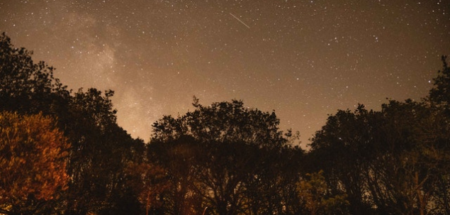 Ce iti transmite aceasta imagine?