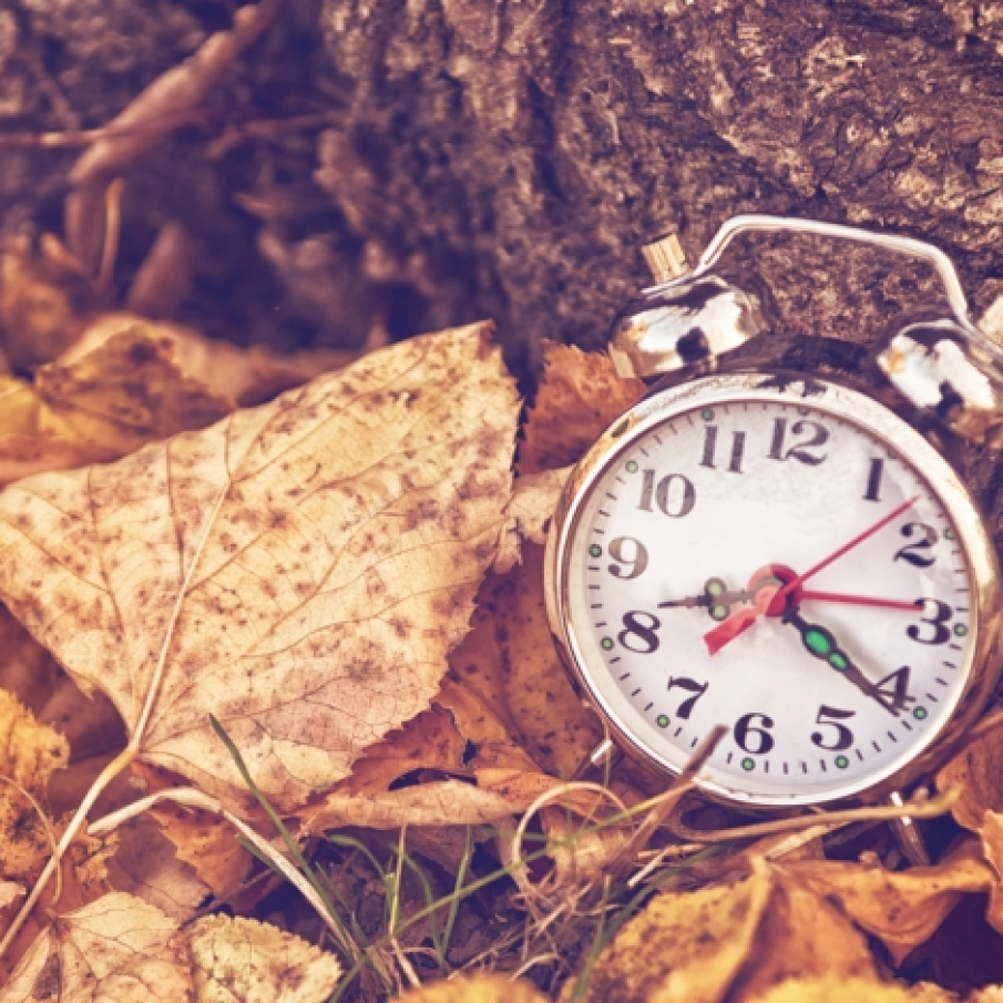 Exista 4 lucruri pe care nu le poti recupera: