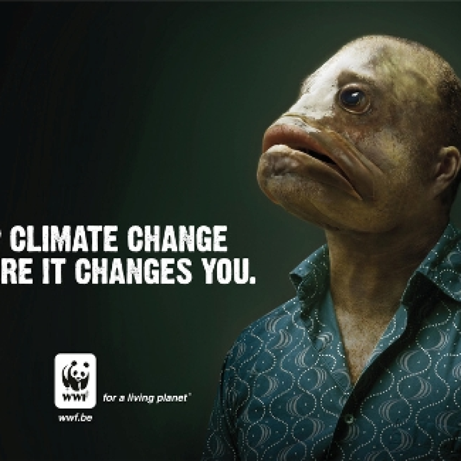 Reclama emotionanta WWF