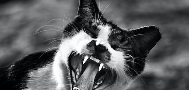 Sunt iritabila si ma enervez usor