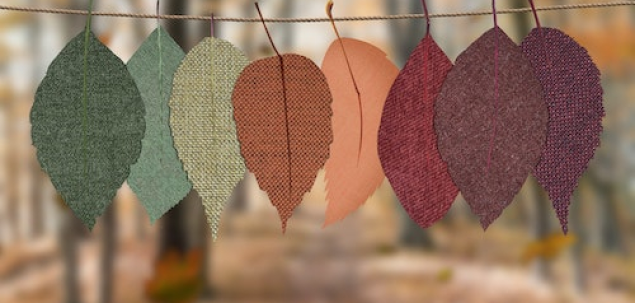 In ce luna te-ai nascut?