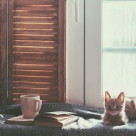 Covid-19: Cum să ne păstrăm calmul în această perioadă 