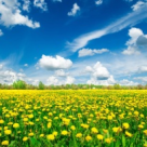 (P) O noua solutie pentru tratarea depresiei, panicii, anxietatii si stresului