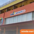 Inimile mari se întâlnesc: Fundația Mobexpert susține Asociația CONIL