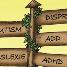 Sindromul GAPS - o carte revolutionara despre autism, acum in Romania