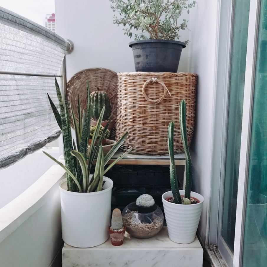 Coltul de gradina de pe balcon