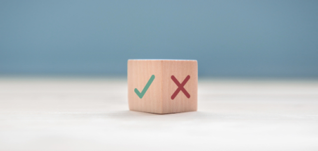 Vlad Tepes era numit si Dracula.