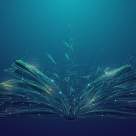 Nu voi spune că a fost ușor, însă voi zâmbi știind că totul a meritat