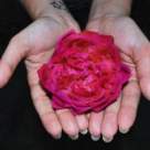 Invatamintele iubirii