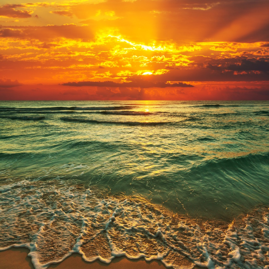 Perfectiunea creatiei 