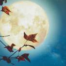 Luna plină în Berbec– 20 Octombrie: Acestea sunt cele 3 zodii care vor resimți cel mai puternic chemarea acestui context astral în următoarele 14 zile! 