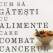 Cum sa gatesti cu alimente care combat cancerul