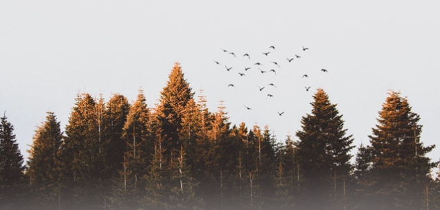 Alege un citat din Socrate!