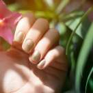 Manichiuri pe care să le încerci în această vară. Top 5 modele MUST HAVE