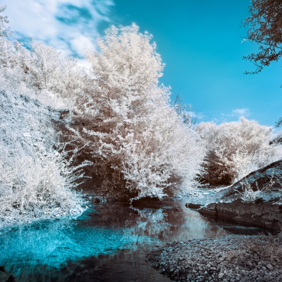 Malul unui râu fotografiat în infraroșu 