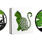 10 Decorațiuni WOW cu licheni naturali – pentru o atmosferă șic acasă ori la birou