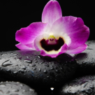 De la un instructor de yoga: 10 reguli neoficiale dupa care sa traiesti echilibrat