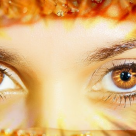 Incearca-le timp de 1 luna si iti vei construi adevaratul Destin: Cele 10 Ritualuri ale unei vieti bune!