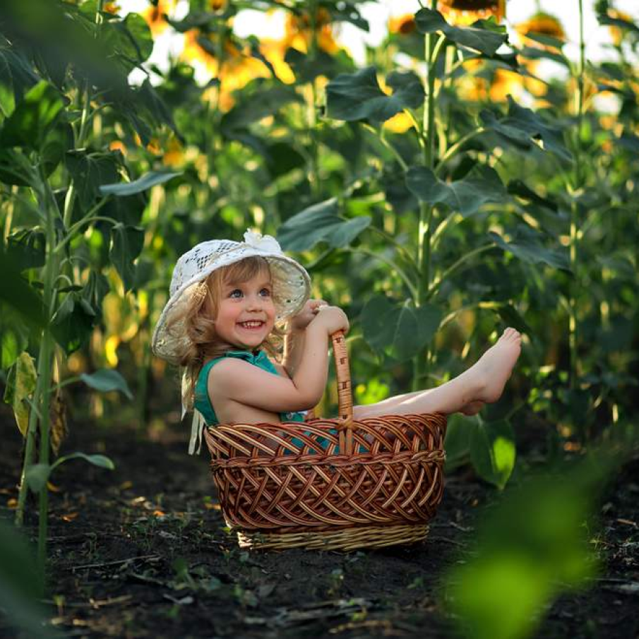 Neghinița printre flori