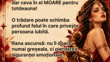 SCORPIONUL poate IERTA, dar ceva în sufletul lui MOARE pentru totdeauna! Rana pe care niciun „ÎMI PARE RĂU” nu o poate vindeca