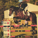 Concursul Complet Internațional de la Karpatia Horse Show, Florești, Prahova 