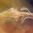 Tăierea și vindecarea Cordonului Eteric - Firul energetic invizibil care leagă două persoane 