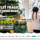 Nu le putem aduce familiile înapoi, dar le putem vindeca sufletul copiilor abandonați