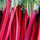 Efectele nebănuite ale rubarbei asupra organismului și pielii 