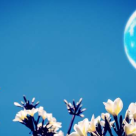 29 mai - Luna Plină a Florii este în Săgetător: urmează una dintre cele mai frumoase și interesante perioade ale lui 2018! 