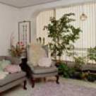 Feng Shui pentru incepatori