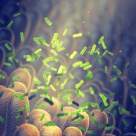 Sensibilitățile alimentare - una dintre cauzele inflamației cronice