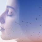 Scrisoare de dragoste către sufletele sensibile