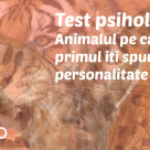 TEST PSIHOLOGIC: Animalul pe care îl vezi primul îți spune ce personalitate ai!